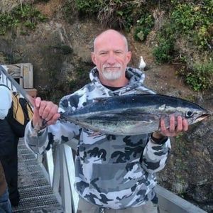 Meet your Posher, Joe